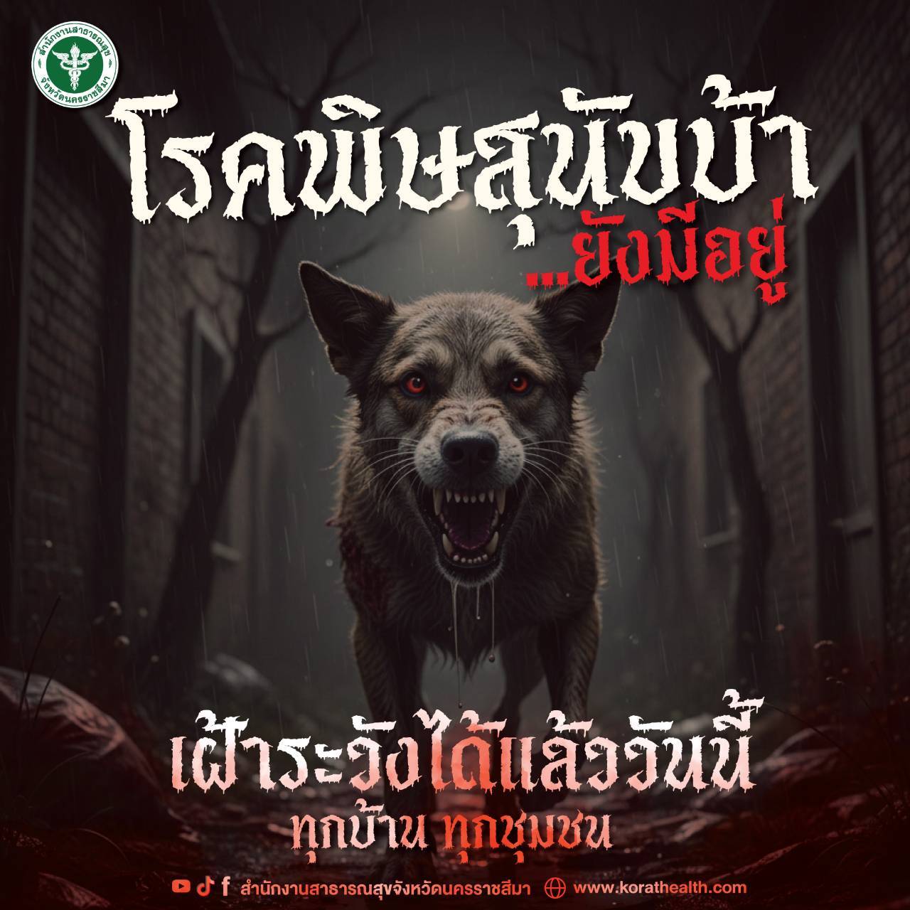 องค์การบริหารส่วนตำบลเสิงสาง  ประชาสัมพันธ์ "สถานการณ์ โรคพิษสุนัขบ้า จังหวัดนครราชสีมา ปี 2569"